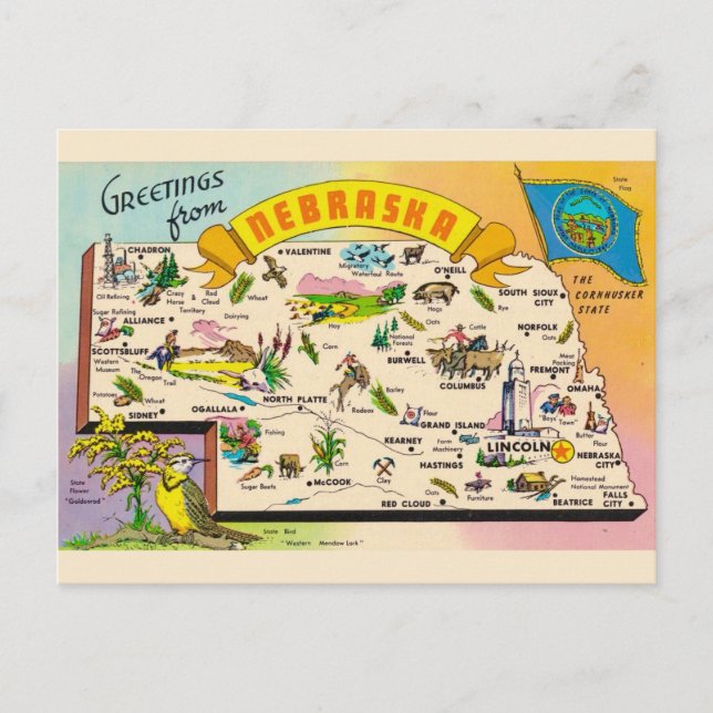 Postale Carte colorée du Nebraska (Devant)