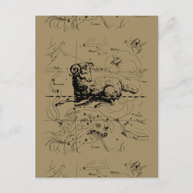Postale Carte Constellation Aries Hevelius 1690 (Devant)