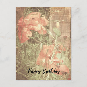 Postale Carte d'anniversaire aux coquelicots antiques