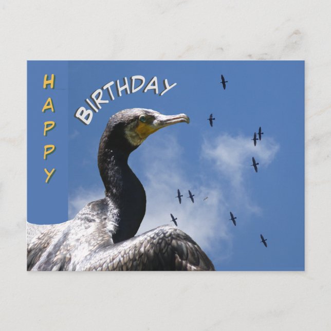 Postale Carte d'anniversaire aux cormorans volants (Devant)