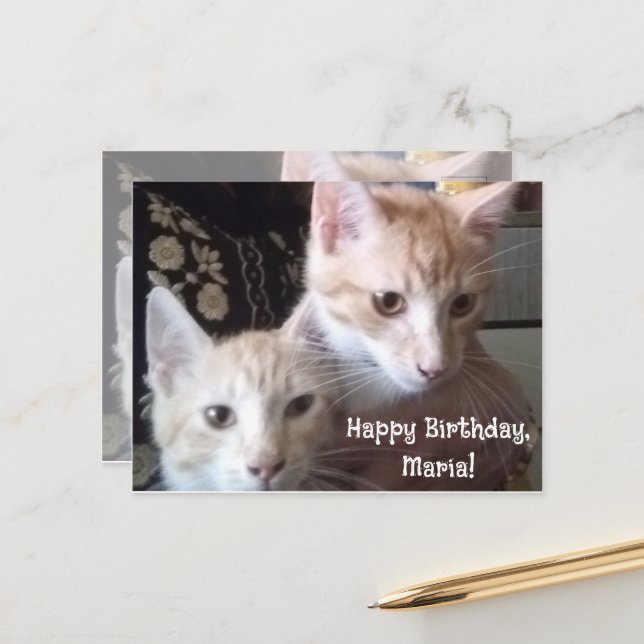 Postale Carte d'anniversaire avec photo de chats recto et  (Devant/Arrière en situation)