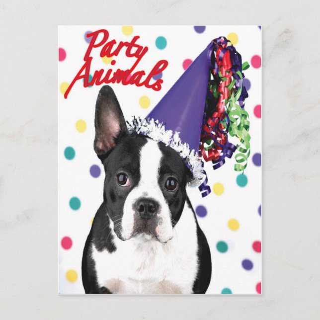 Postale Carte d'anniversaire Boston Terrier (Devant)