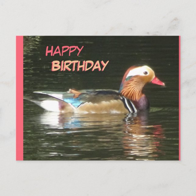 Postale Carte d'anniversaire Canard mandarin heureux (Devant)
