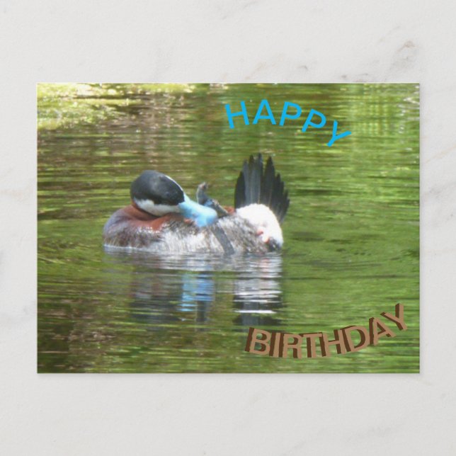 Postale Carte d'anniversaire Canard Ringtaling Joyeux Anni (Devant)