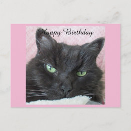 Postale Carte d'anniversaire Chat Noir