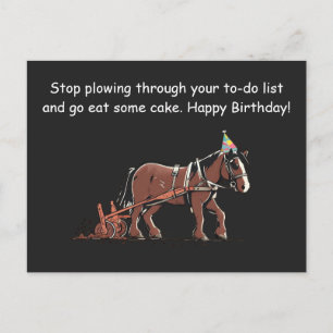 Postale Carte d'anniversaire drôle avec un cheval de labou