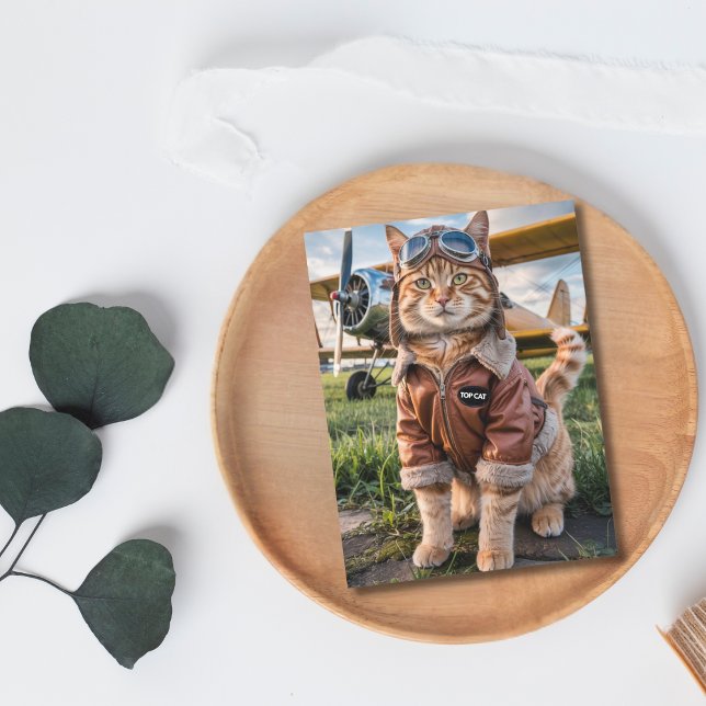 Postale Carte d'anniversaire drôle de chat pilote & avion  (Front )