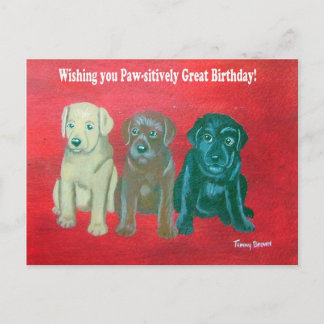 Postale Carte d'anniversaire du Labrador