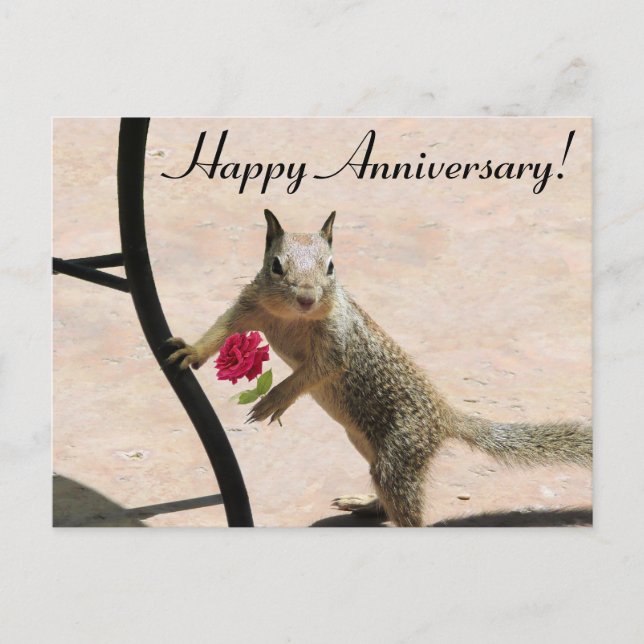 Postale Carte d'anniversaire du Rose de l'écureuil (Devant)