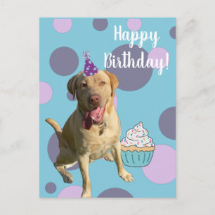 Postale Carte d'anniversaire Dudley Labrador