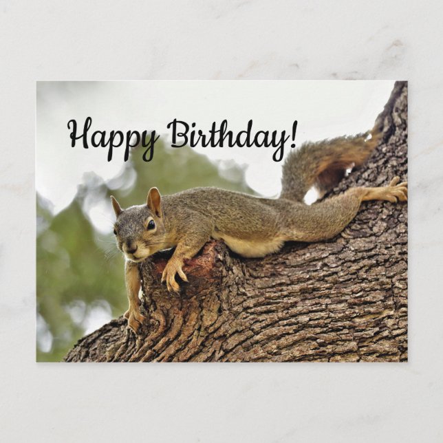 Postale Carte d'anniversaire Écureuil Couché sur un Arbre (Devant)