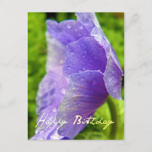 Postale Carte d'anniversaire Élégante Nature