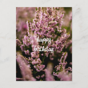 Postale Carte d'anniversaire Fleurs de Bruyère Photographi