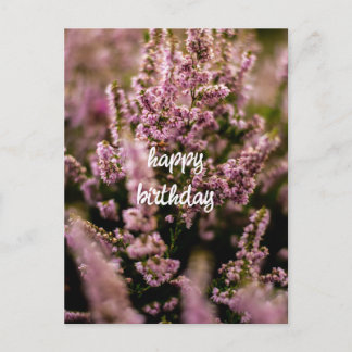 Postale Carte d'anniversaire Fleurs de Bruyère Photographi