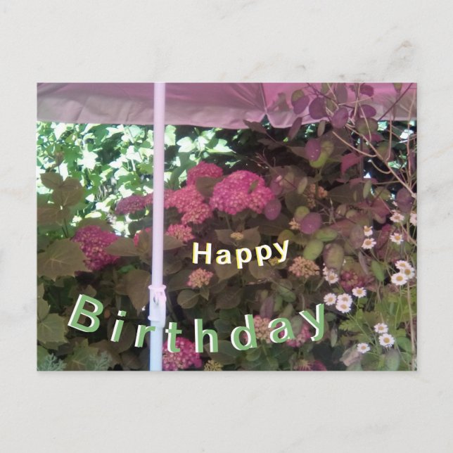 Postale Carte d'anniversaire Hydrangea sous Parasol (Devant)