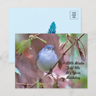 Postale Carte d'anniversaire Little Birdie
