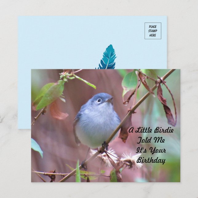 Postale Carte d'anniversaire Little Birdie (Devant / Derrière)