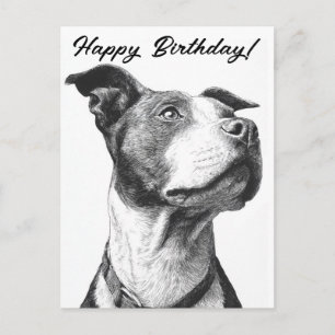 Postale Carte d'anniversaire minimaliste Pitbull noir et b