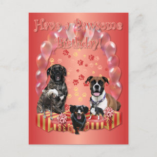 Postale Carte d'anniversaire Pawsome