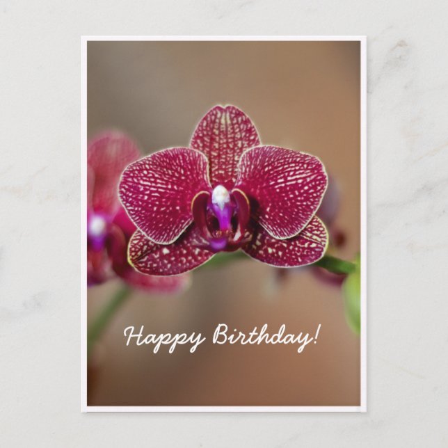 Postale Carte d'anniversaire personnalisable belle orchidé (Devant)