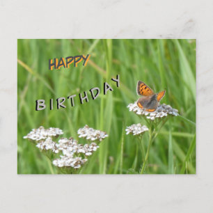 Postale Carte d'anniversaire personnalisée Papillon de feu