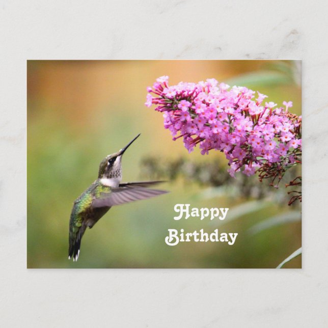 Postale Carte d'anniversaire photo florale avec colibri fa (Devant)