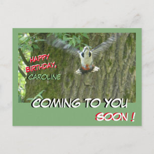 Postale Carte d'anniversaire Pic vert volant vers vous