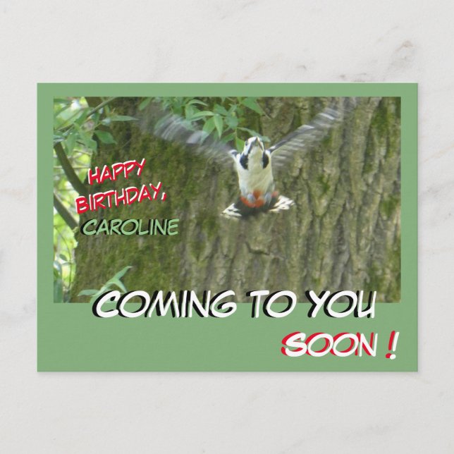 Postale Carte d'anniversaire Pic volant venant vers vous (Devant)