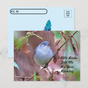 Postale Carte d'anniversaire Postcrossing Little Birdie
