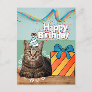 Postale Carte d'anniversaire pour chat