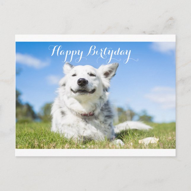 Postale carte d'anniversaire pour chien, personnalisable (Devant)