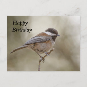 Postale Carte d'anniversaire pour les poulets