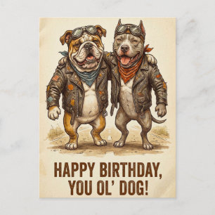 Postale Carte d'anniversaire pour vieux chien