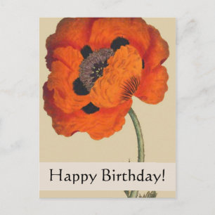 Postale Carte d'anniversaire vintage Botaniques Poppy