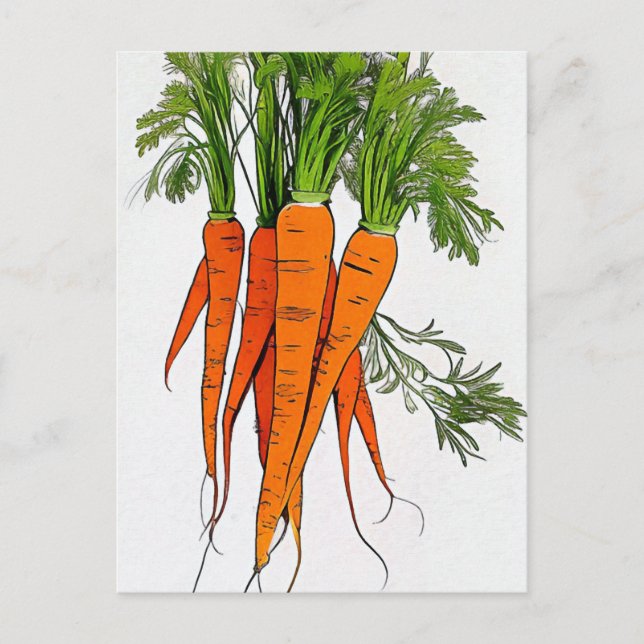 Postale Carte d'art des carottes (Devant)