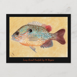 Postale Carte d'art Sunfish