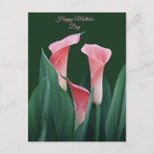 Postale Carte de Bonne Fête des Mères