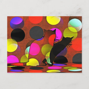 Postale Carte de chat