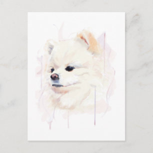 Postale Carte de chien Poméranie, Peinture à l'aquarelle