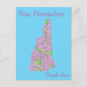 Postale Carte de collage de la fleur de l'État du New Hamp