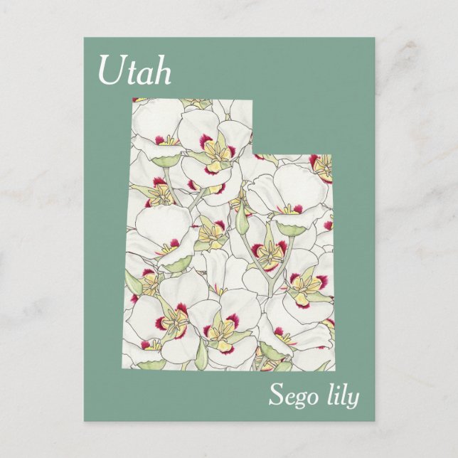 Postale Carte de collage des fleurs de l'État de l'Utah (Devant)