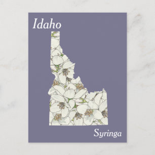 Postale Carte de collage des fleurs de l'État d'Idaho