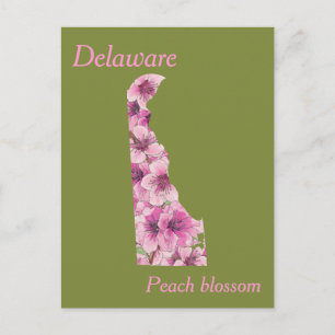 Postale Carte de collage des fleurs de l'État du Delaware