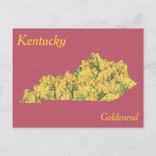 Postale Carte de collage des fleurs de l'État du Kentucky