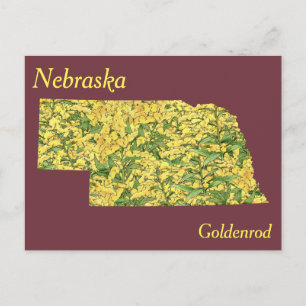 Postale Carte de collage des fleurs de l'État du Nebraska