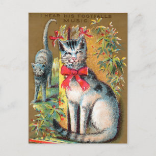 Postale Carte de commerce pour chats Frears #1 (sur 6)