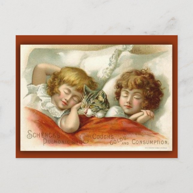 Postale Carte de commerce victorienne au sirop de Schenck (Devant)