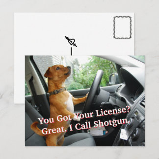 Postale Carte de félicitations pour le permis de conduire
