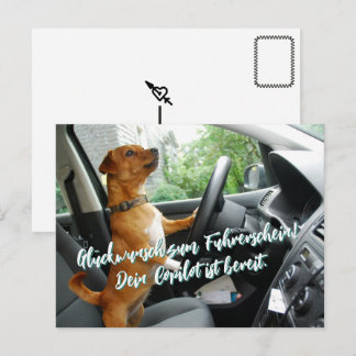 Postale Carte de félicitations pour le permis de conduire