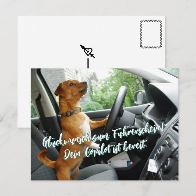 Postale Carte de félicitations pour le permis de conduire (Devant / Derrière)